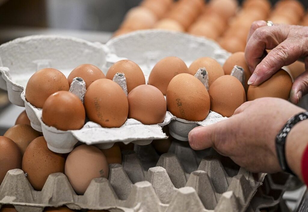 КГК нашел в одном из магазинов просроченные яйца – их продавали со скидкой 50%