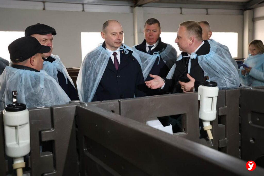 157 боксов, молочное такси и «распознавание лиц»: Кушнаренко оценил «умную» ферму в Червене