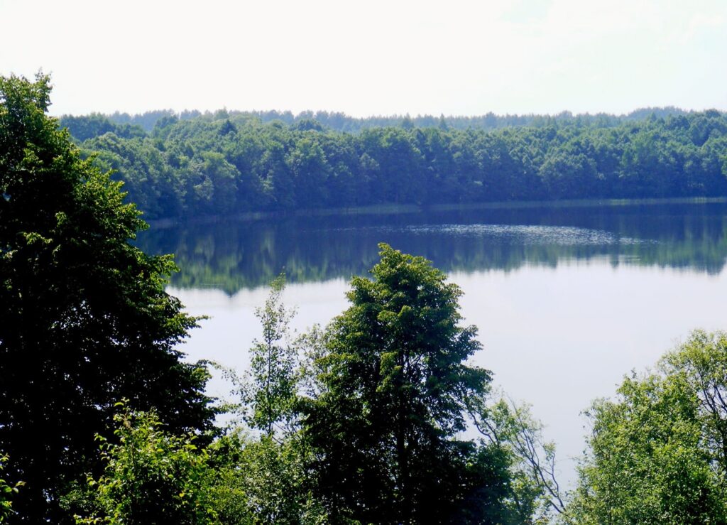 Участки у озера от 2500 рублей: в Глубокском районе пройдут торги