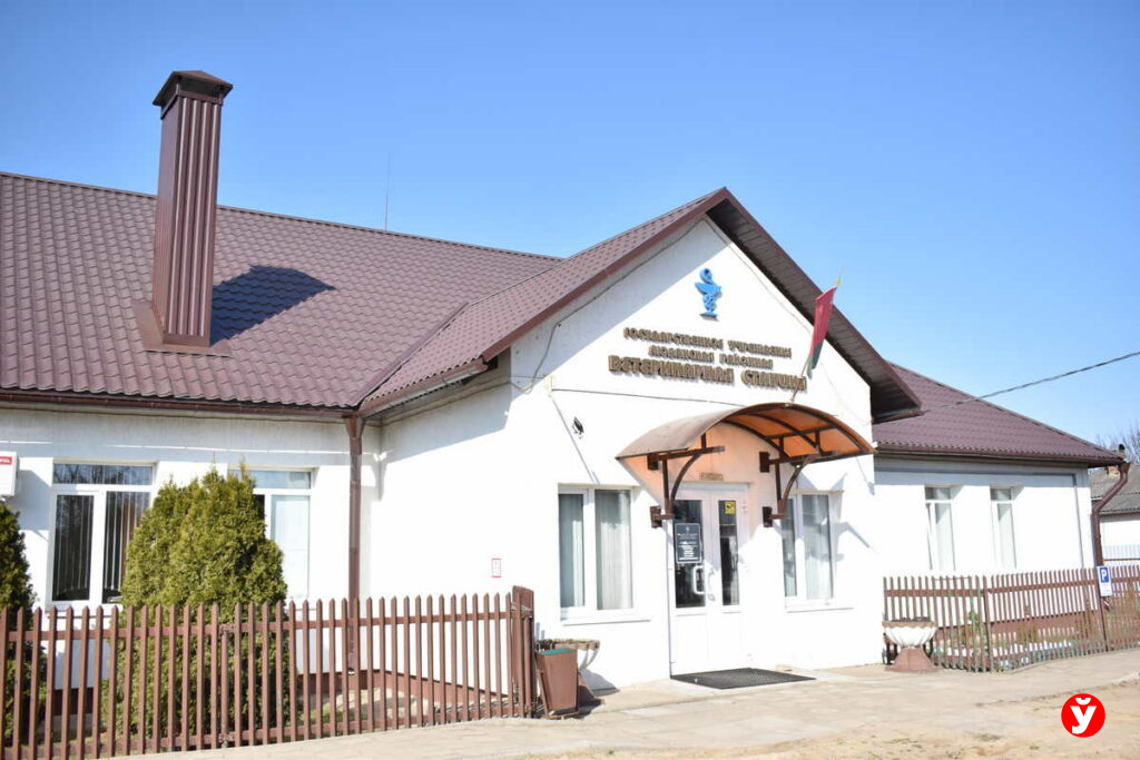 От лаборатории до УЗИ: как работает многофункциональная ветеринарная служба Любанского района