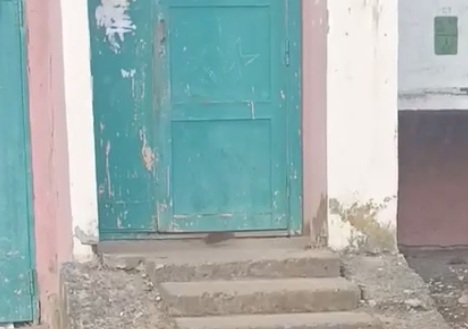 Крыса поселилась в подъезде на Советской: что происходит в Жодино