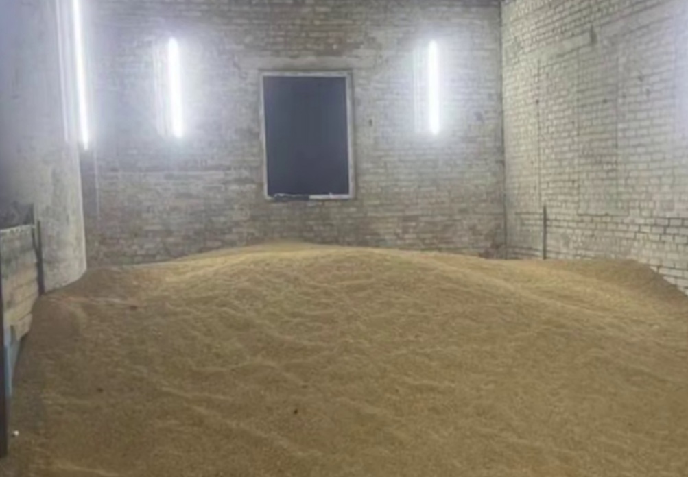 Более 20 тонн пшеницы присвоил перевозчик в Молодечненском районе