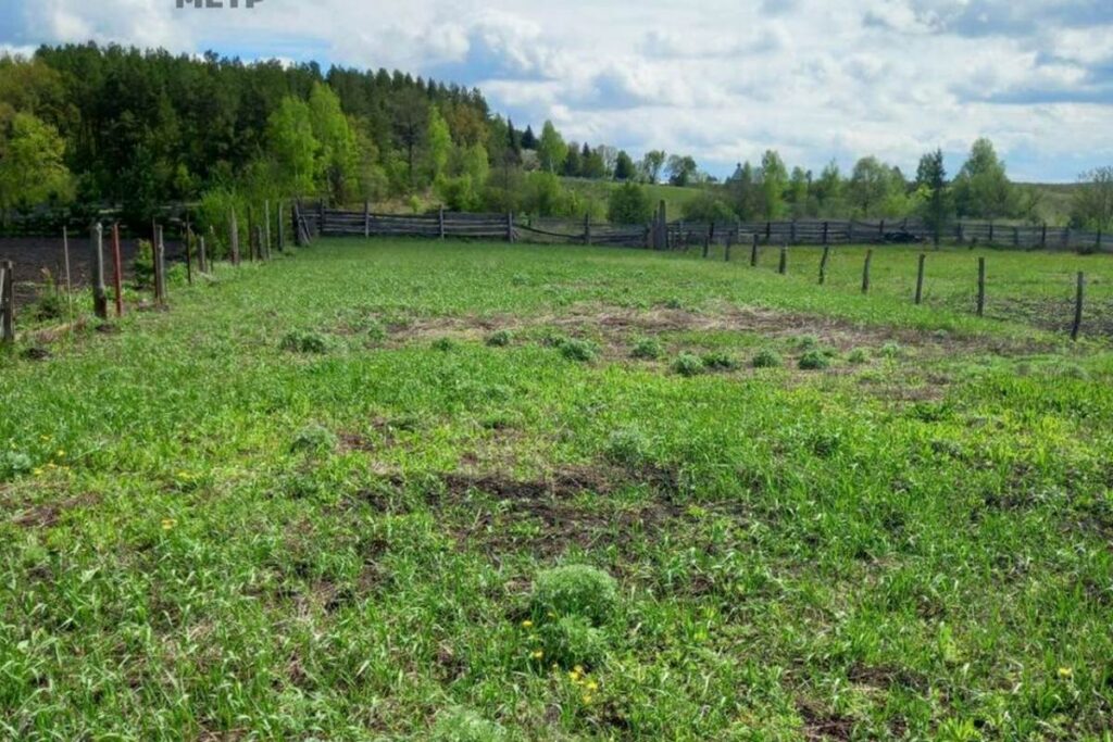 В Логойском районе продаются сразу несколько участков с начальной ценой до 8 000 рублей