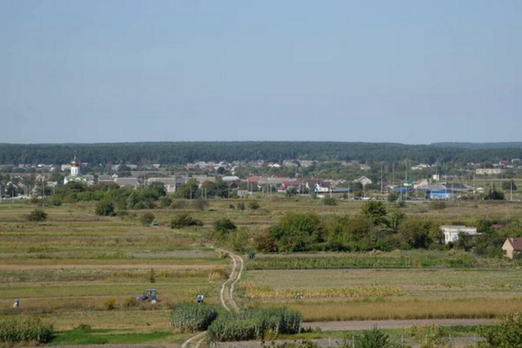 Развитие Полесья в Беларуси: новая стратегия вместо «чернобыльских регионов»