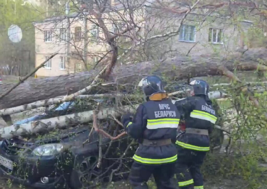 В Беларуси из-за сильного ветра пострадали 16 населенных пунктов и два человека