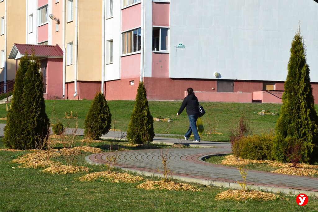 Как за день меняются улицы Минской области — репортаж из регионов