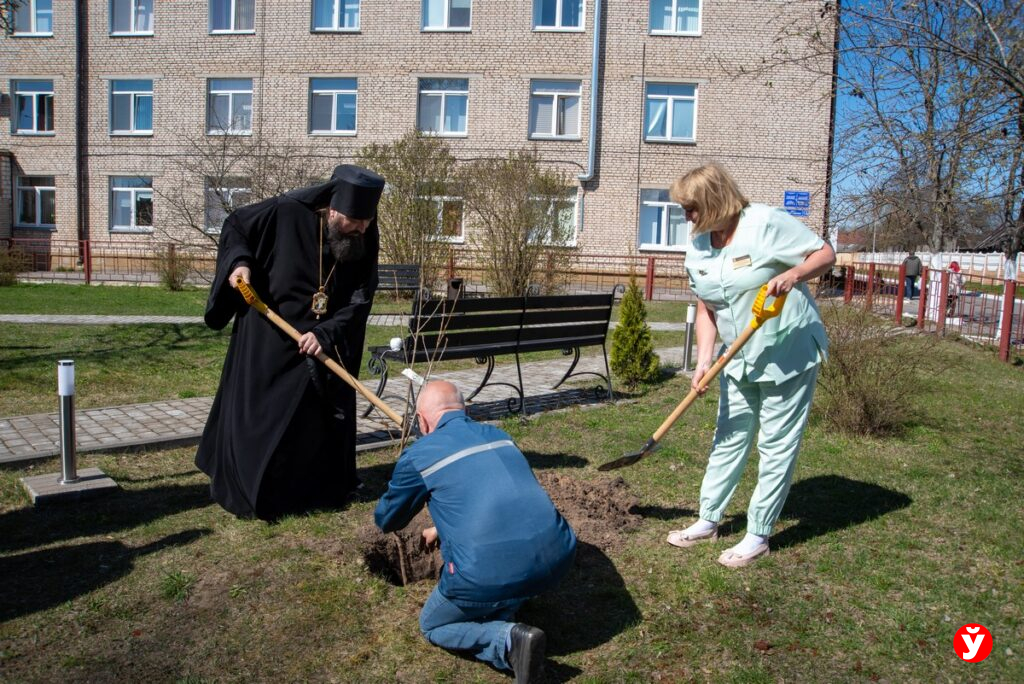 Епископ и главврач заложили Вишнёвый сад у роддома в Борисове