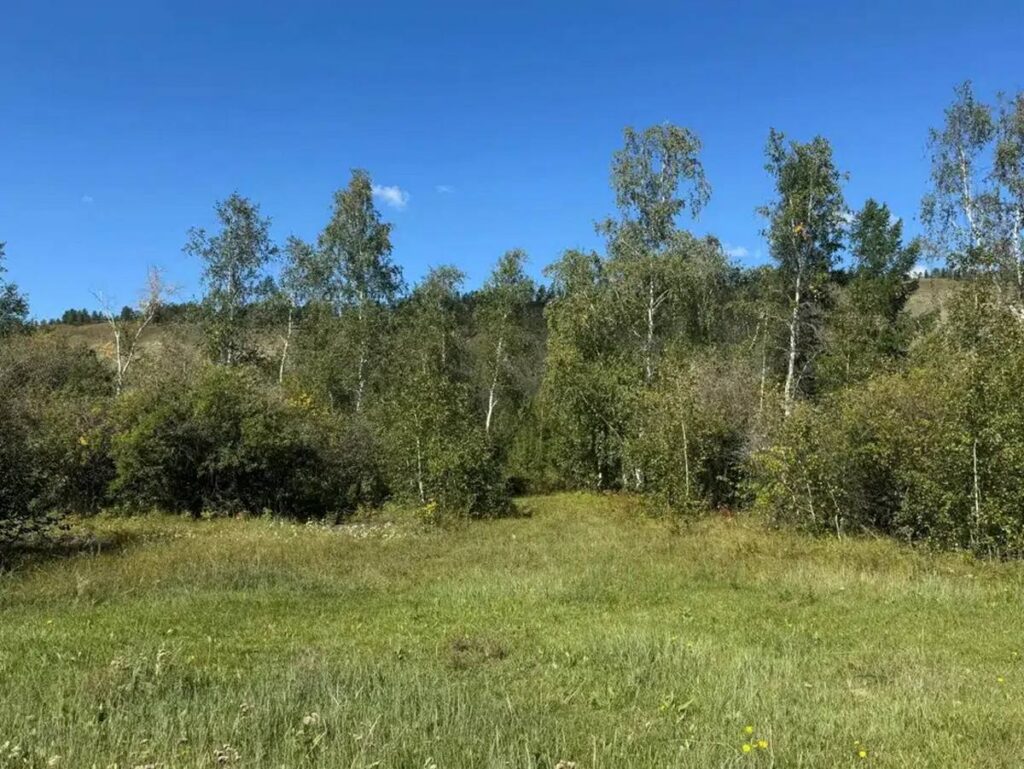 В Пуховичском районе 9 участков продадут на аукционах за 1 базовую