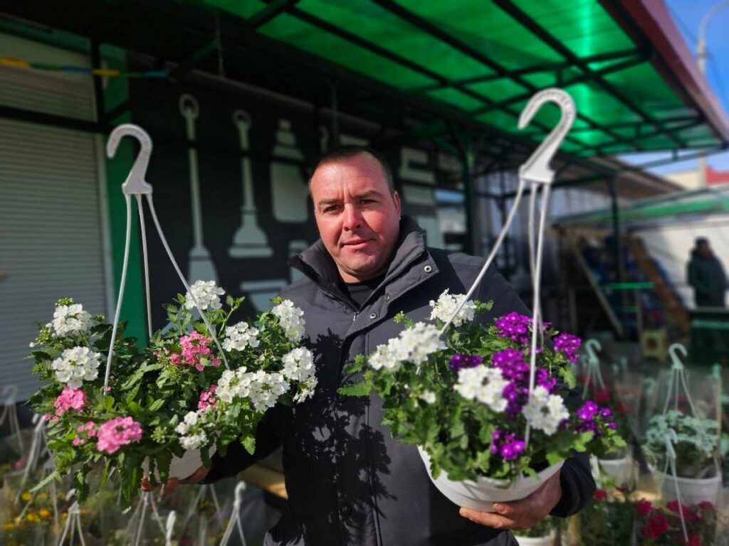 Цветы в горшках продают на рынке в Молодечно по прошлогодним ценам