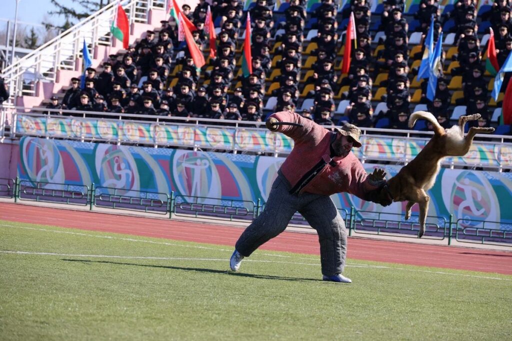 Кинологи из разных стран сразились за победу в Беларуси
