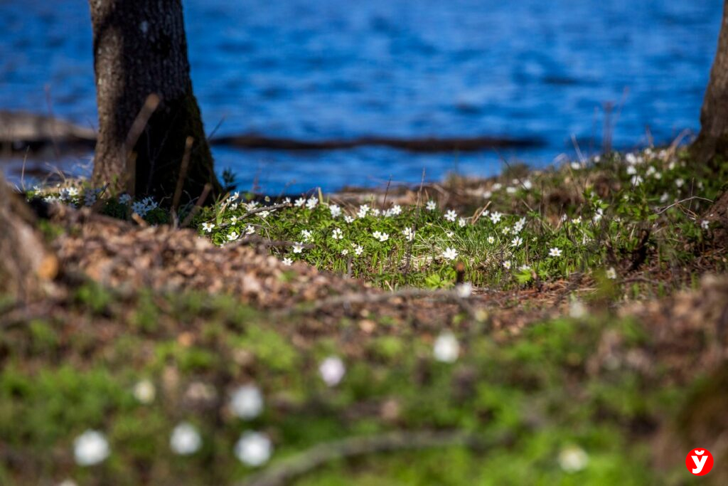 Синоптики рассказали, какой будет погода 16 апреля: лучше взять с собой зонт