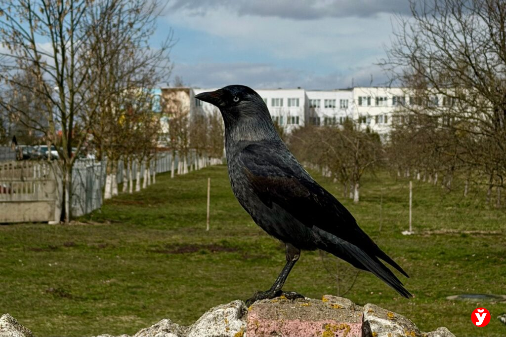 Весна с сюрпризами: какой будет погода в Беларуси с 20 по 26 апреля