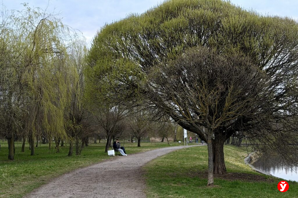 Чего ждать белорусам от погоды на больших выходных