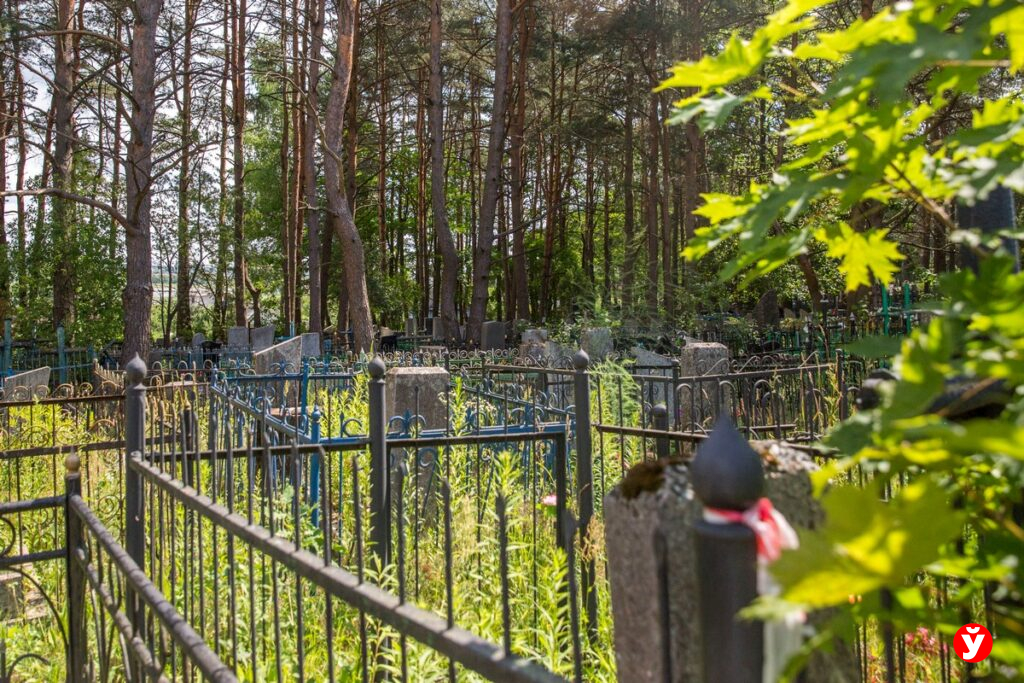 КГК будет принимать жалобы на состояние кладбищ – звонить можно 10 апреля