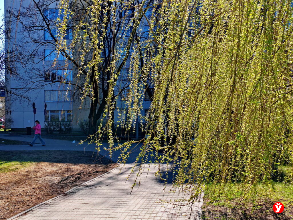 Холодные выходные обещают синоптики в Беларуси – когда же потеплеет