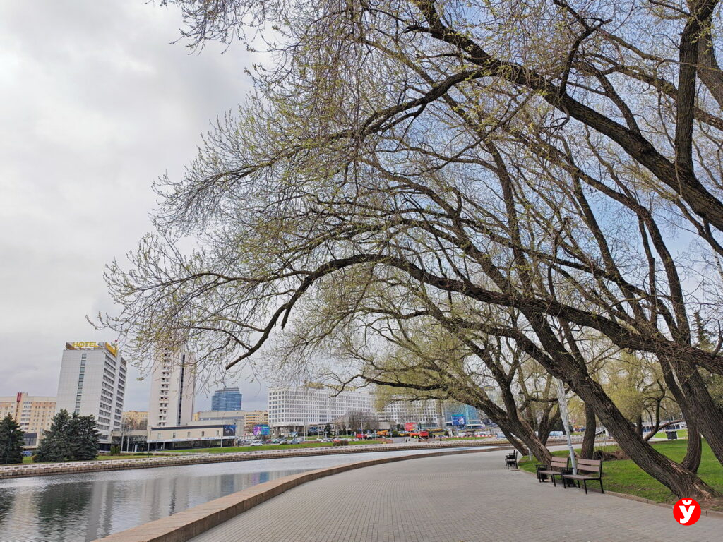 Пасмурно и дождливо: прогноз погоды на 17 апреля