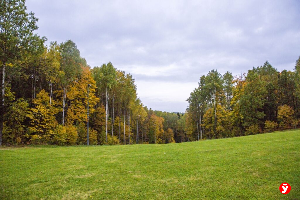 В Логойском районе продают 14 земельных участков: цены стартуют от 5 тысяч рублей