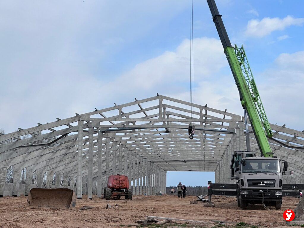 Полезная вода бьет из-под земли на территории сельхозпредприятия – где оно находится