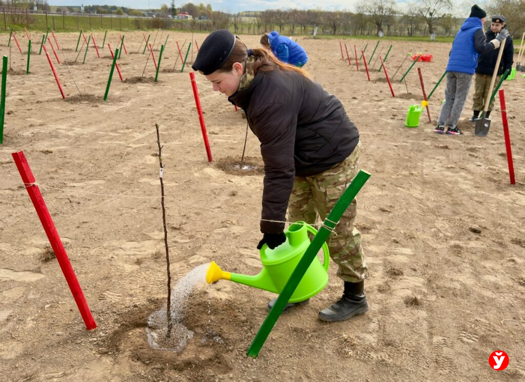 100 яблонь высадили под Червенем женщины со всех регионов Минщины