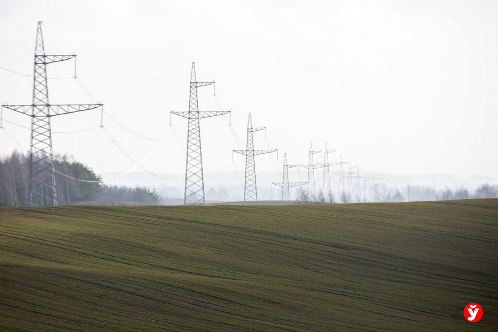 235 тысяч гектаров уже засеяно: как проходит посевная в Минской области