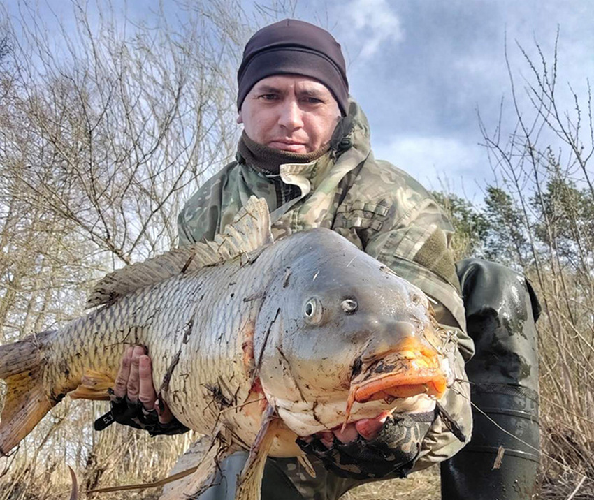 Рыбак под Мостами поймал 12-килограммового сазана на спиннинг