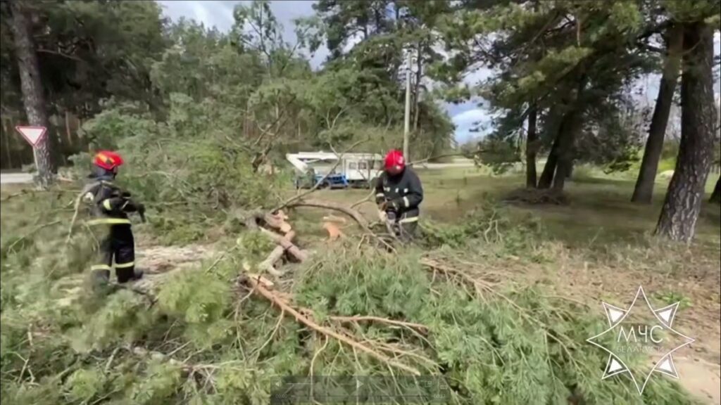 Шторм прошёлся по Беларуси: поваленные деревья, повреждённые авто – работают спасатели