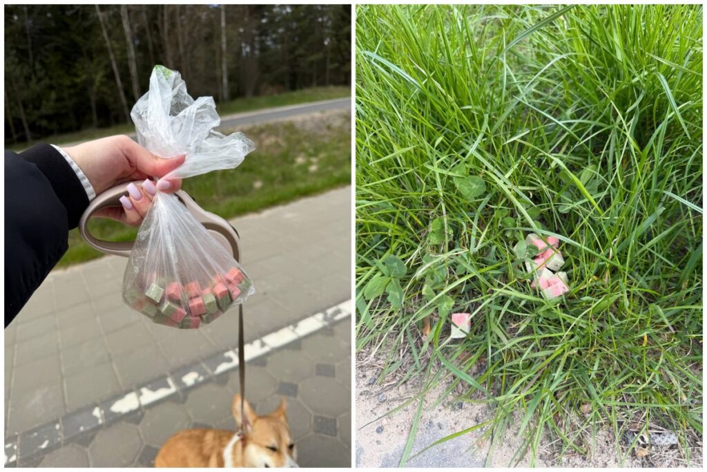 В Борисове неизвестный разбрасывает «мармеладки» с рыболовными крючками – есть погибшие животные