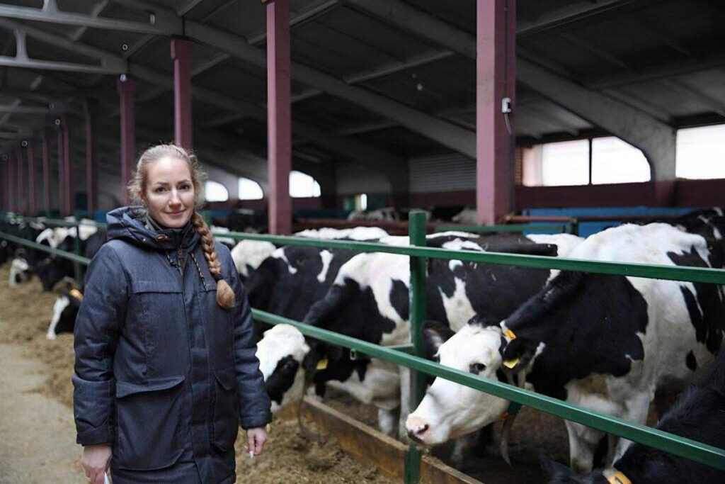 Экстра-молоко, комбайны КВК и столовая для механизаторов: чем живёт «Осовец-Агро»