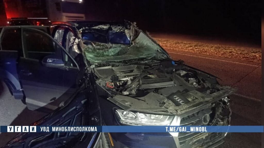 Пассажир погиб в ДТП с лосем в Смолевичском районе
