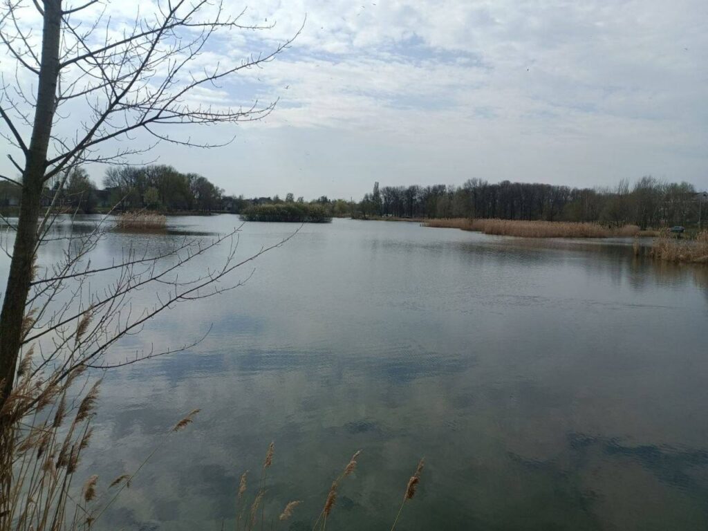 Тело пропавшего в марте мужчины обнаружено в озере в Гомеле