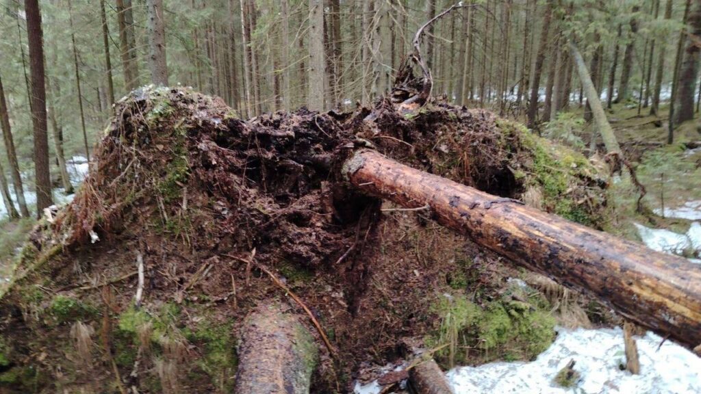 В деревне под Минском нашли миномётные мины времен войны