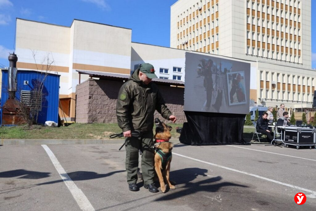 ОМОН штурмовал автобус и задерживал «террориста» – зрелищные кадры из Минска