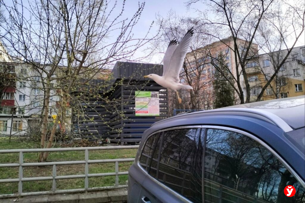 Белорусам сказали готовиться к заморозкам до -5°C