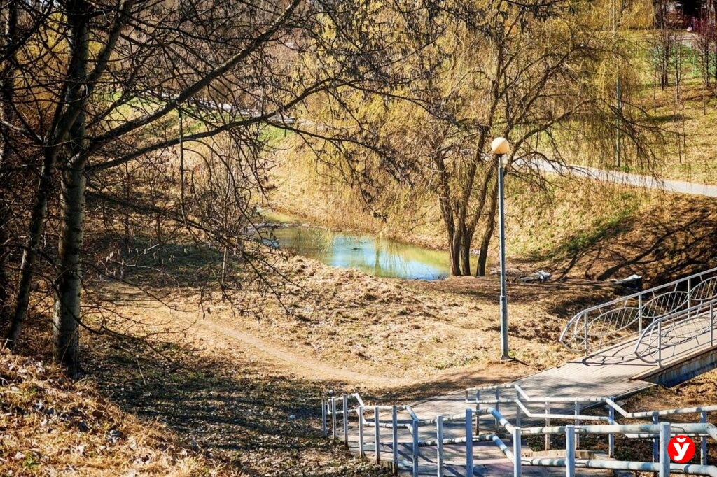 Синоптики предупредили белорусов о сильном ветре до 20 м/с в понедельник
