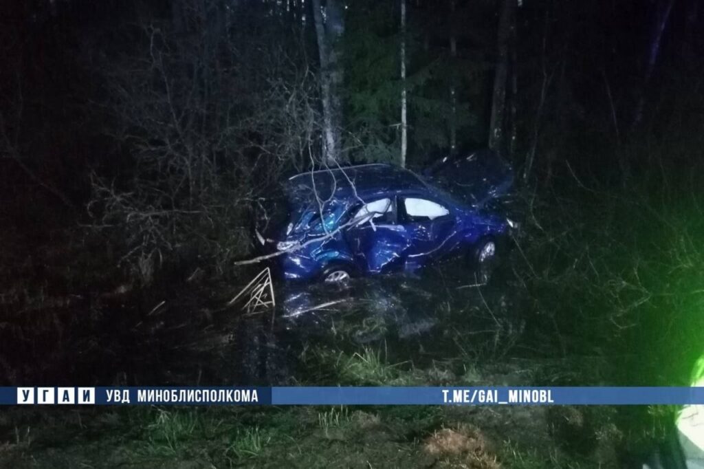 Женщина и двое малолетних детей попали в больницу после ДТП с опрокидыванием авто на Минщине