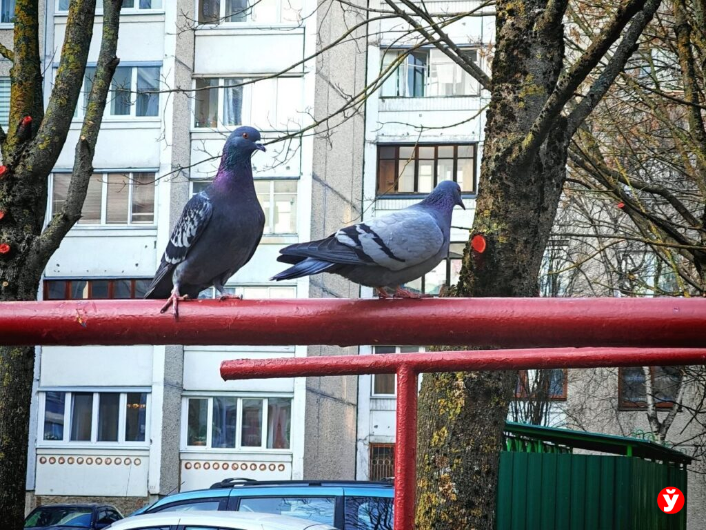 Мокрый снег и грозы: синоптики предупредили о непогоде во вторник