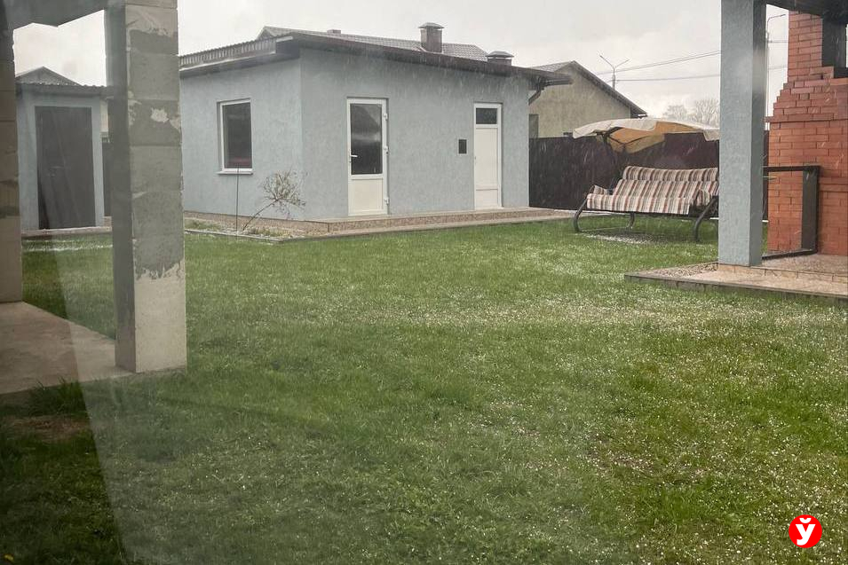 Град, шторм и поваленные деревья – циклон «Рапунцель» штурмует Беларусь