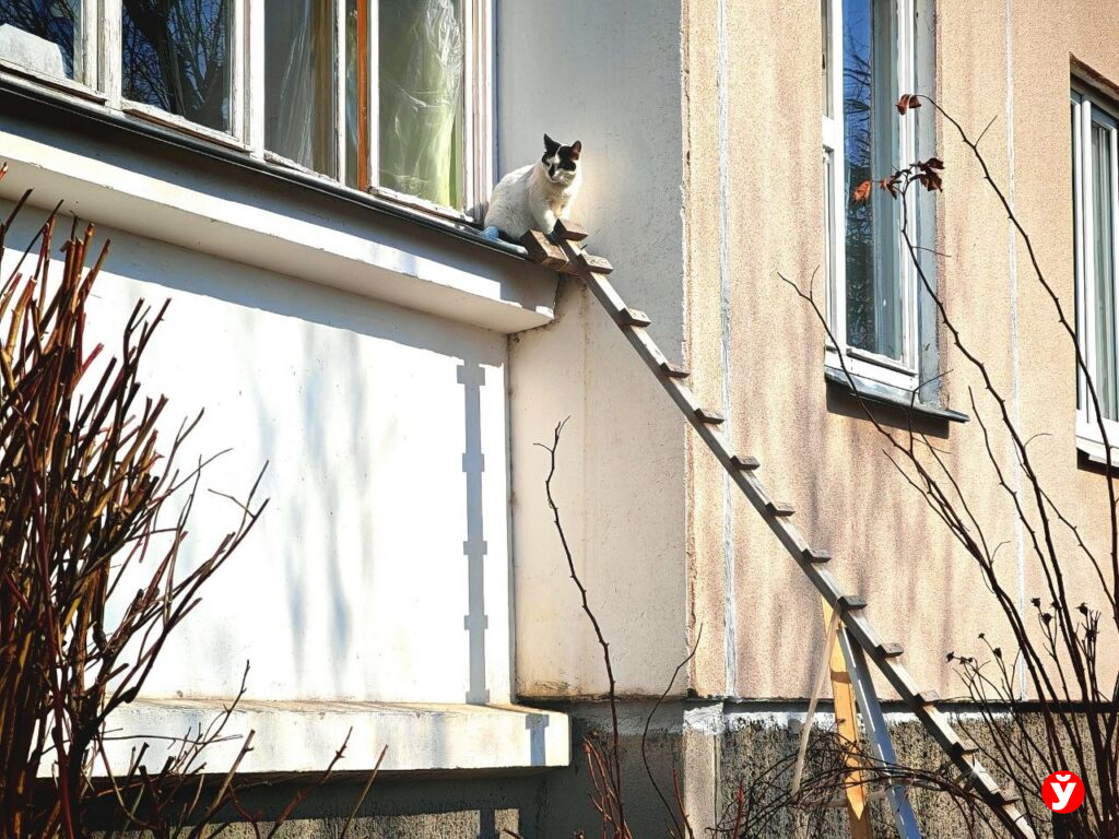 Дождь и до плюс 8 градусов: чего ждать от погоды в Беларуси 9 апреля