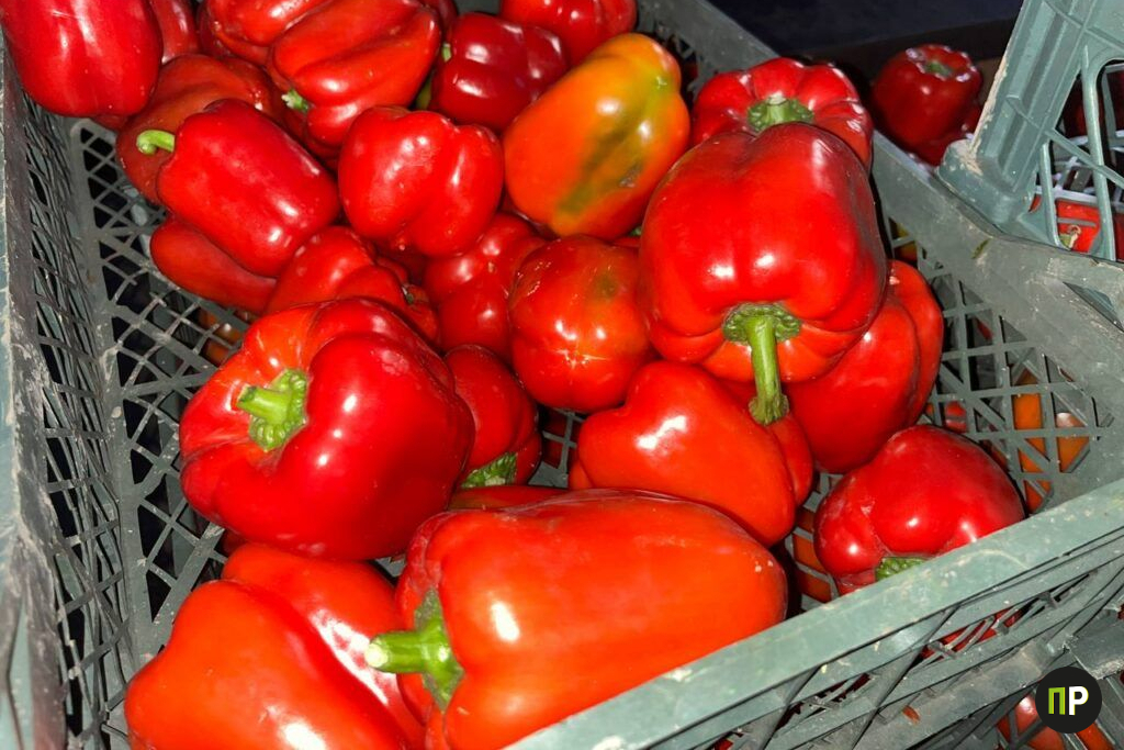 Под Минском нашли место с овощами и фруктами в 2-3 раза дешевле магазинных цен