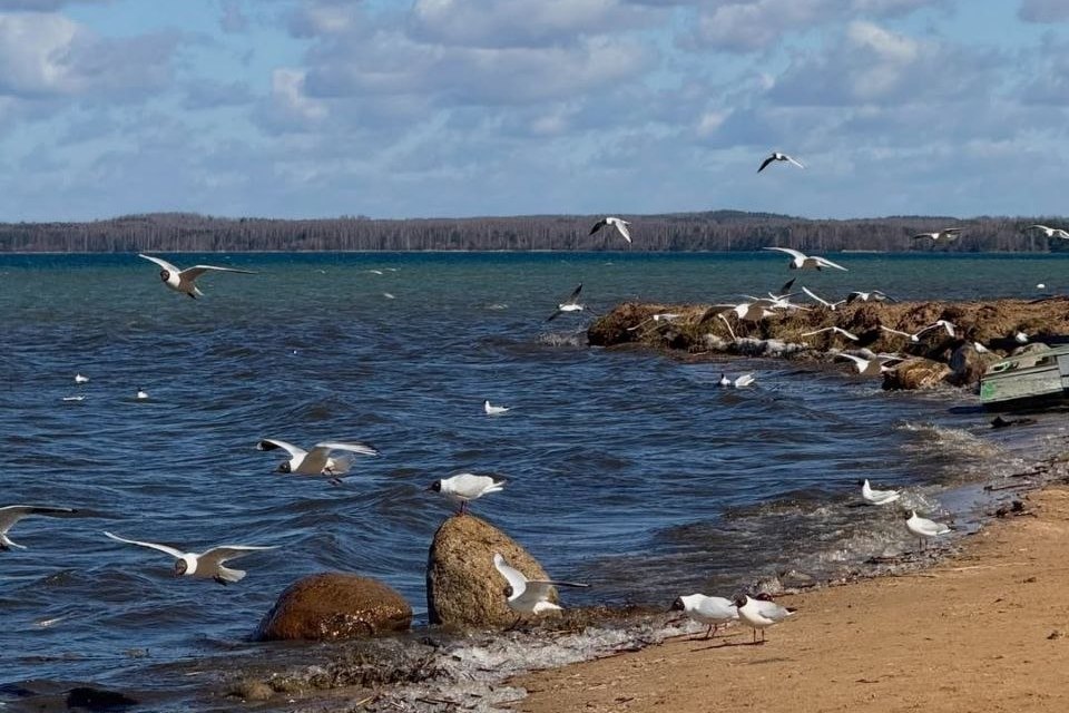 Белорусы могут улучшить туризм на Мядельщине: открыт опрос