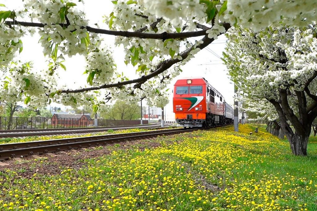 БЖД назначила 60 дополнительных поездов на праздники – теперь их больше 100