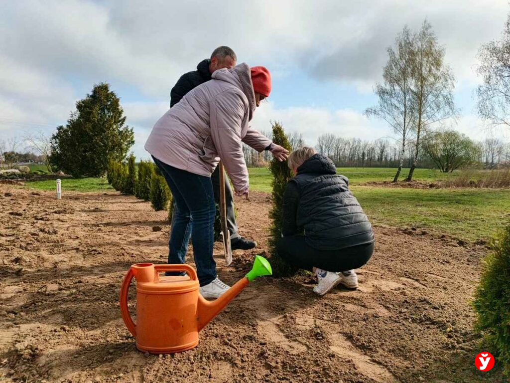 Когда результат виден сразу: как меняется облик Минской области всего за один день