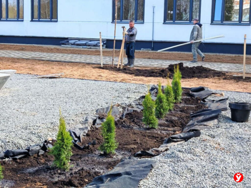 Более 20 млн рублей собрано на республиканском субботнике в Беларуси