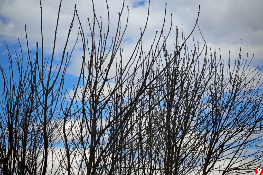 Прогноз погоды на 27 апреля. Ночью местами, днем во многих районах пройдут небольшие кратковременные осадки