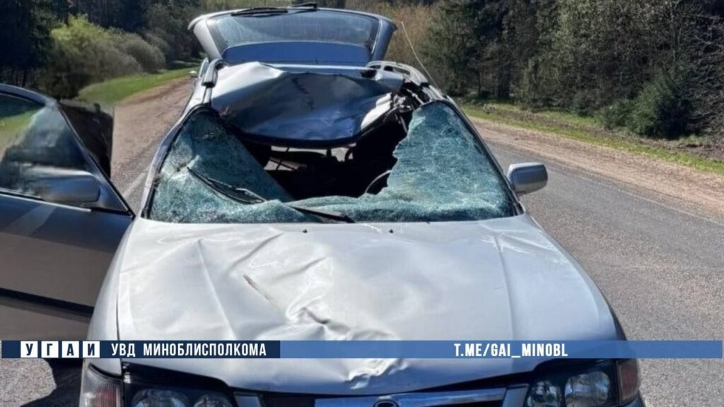 Под Несвижем лось выбежал на дорогу и попал под колеса Mazda – ГАИ показала, что стало с авто