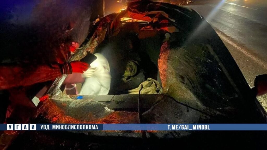 Пассажир Audi оказался в реанимации после столкновения с лосем под Минском