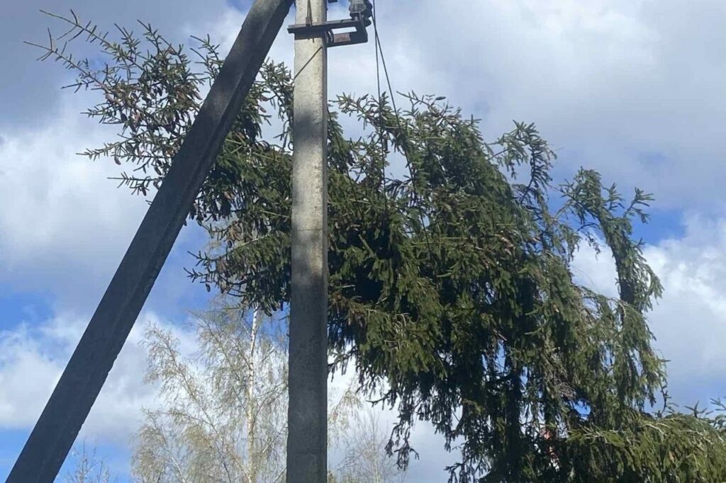 Из-за сильного ветра без света остались 18 населённых пунктов в Витебской области