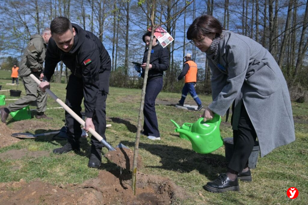 Женщины ЖКХ – вместе: в Несвиже заложили аллею в честь хранительниц уюта и тепла