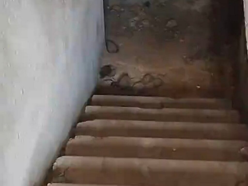 Жители одного из домов в Борисове жалуются на «ужасы» в подвале