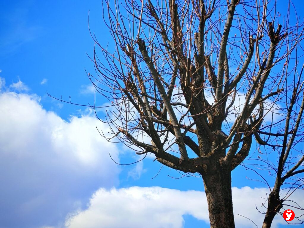 Заморозки и мокрый снег: какой будет погода в Беларуси 28 апреля